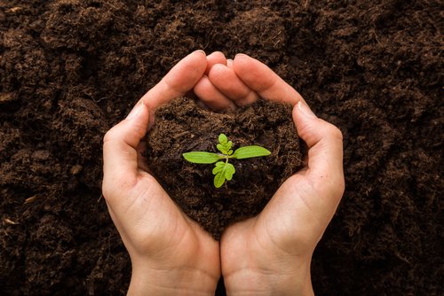 Pfanner B2B Nachhaltigkeit Pfanner legt Wert auf die Umwelt