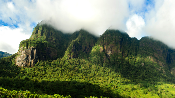 Pfanner Getränke Anbaugebiet Sri Lanka Landschaft mit Berg in Sri Lanka
