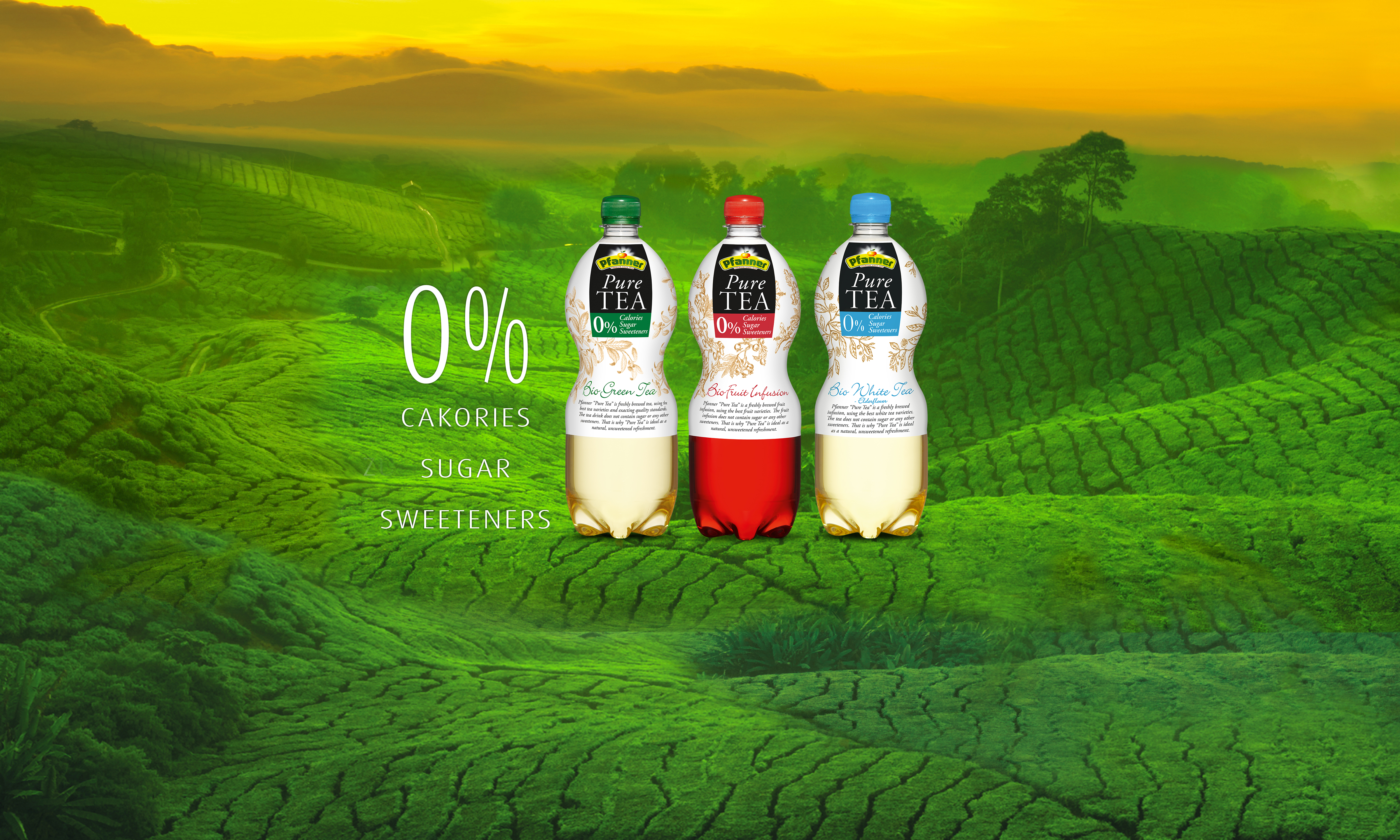 Pfanner Getränke Pure Tea Sortiment Pfanner Pure Tea Sortiment